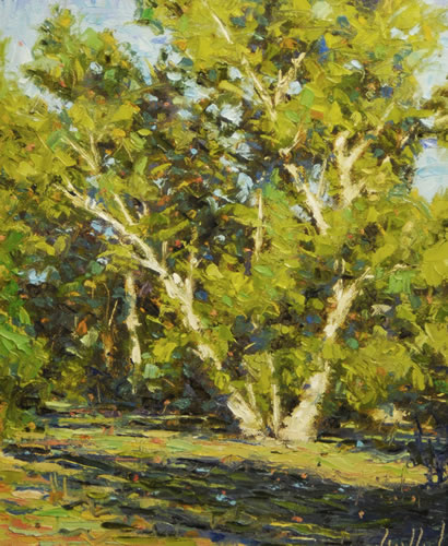 "Sycamore at Crescent Moon Ranch" Oil Painting by Lynn Heil of Rowe Gallery